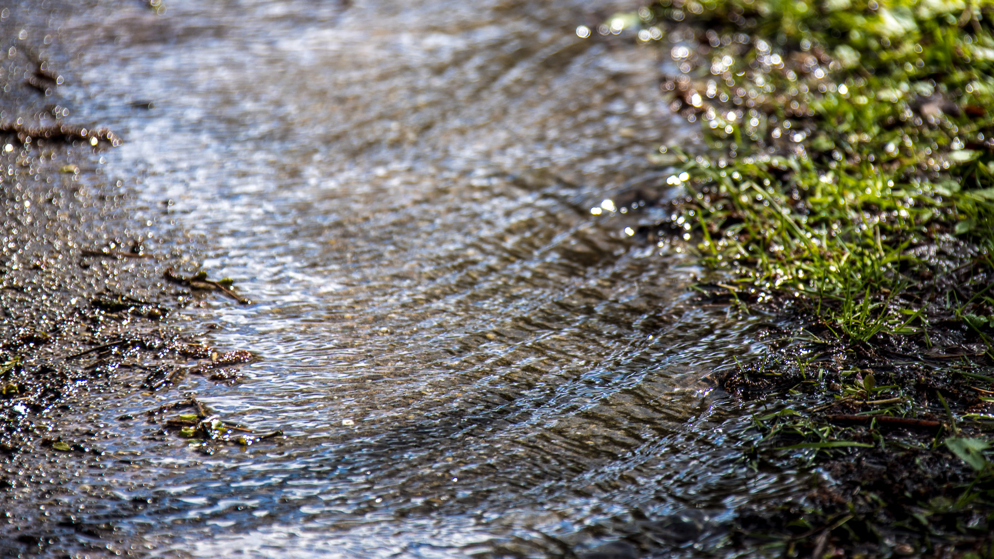 20220409142701 R5D 1310